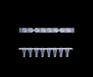0.2ml八聯(lián)排PCR管，光學(xué)平蓋，透明，科進(jìn)/KIRGEN