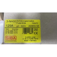 德國(guó)進(jìn)口SIBA熔斷器2020913.125