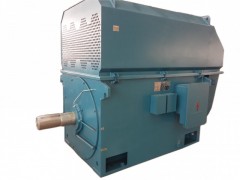 YTM/YHP/YMPS系列磨煤機(jī)用三相異步電動(dòng)機(jī)