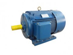 Y2系列三相異步電動(dòng)機(jī)