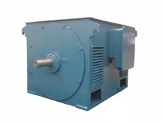 YSQ系列礦山專用三相異步電動(dòng)機(jī)