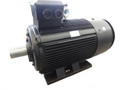 SDM-ZS系列制砂機專用三相異步電動機