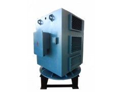 YLS系列6KV中型立式高壓三相異步電動機