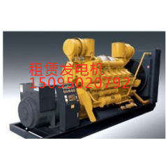 平?jīng)龀鲎獍l(fā)電機，過硬的維修技術(shù)