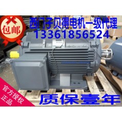 廠價直銷貝得電機 經(jīng)久耐用西門子牌三相異步交流電動機