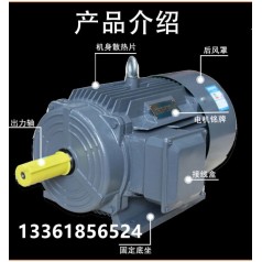 貝得電機1TL0001、西門子電機1TE0001系列、ABB電機M2BAX