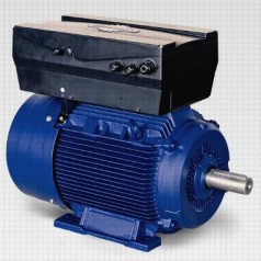 BIRKENBEUL內(nèi)置變頻器的三相電動機(jī)