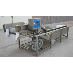 油菜氣泡清洗機(jī)，小白菜氣泡清洗機(jī)