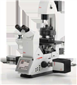 Leica研究級倒置電動顯微鏡DMi8倒置熒光顯微鏡謹(jǐn)通儀器全國報(bào)價(jià)銷售